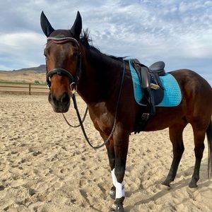 Meet your Posher, Haley